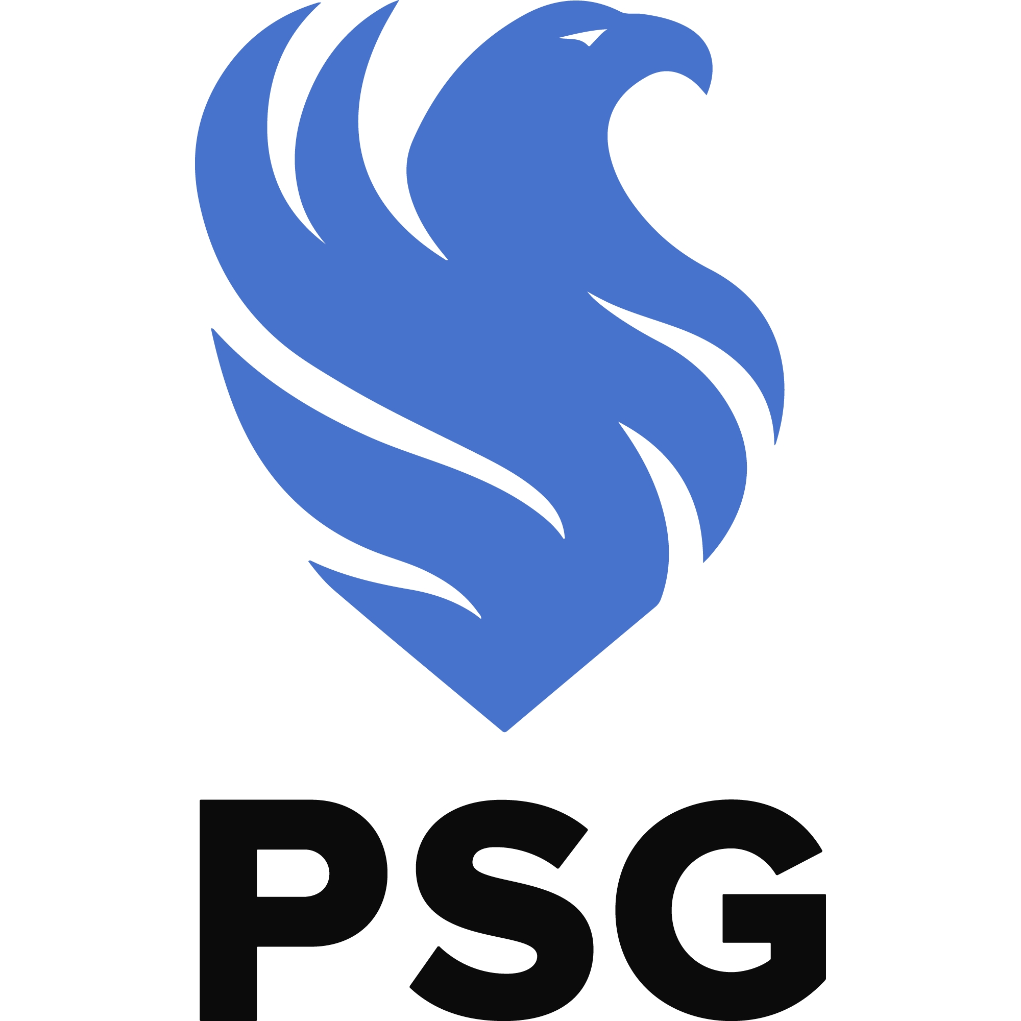Premium Services Group